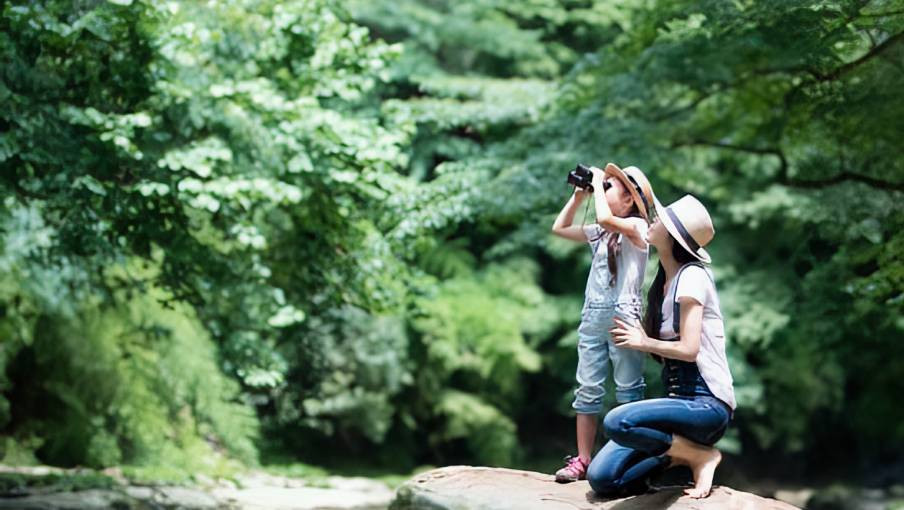 Life Insurance Plans Limited offers